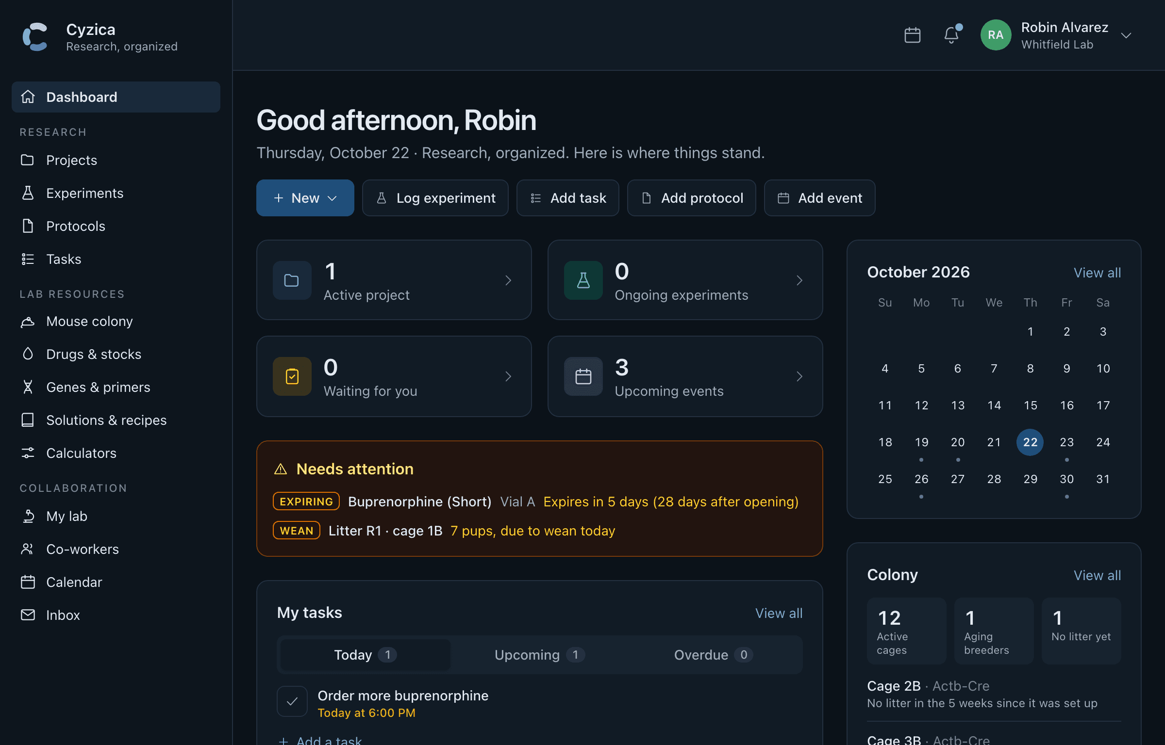 The dashboard: what is running, what needs attention, what is next