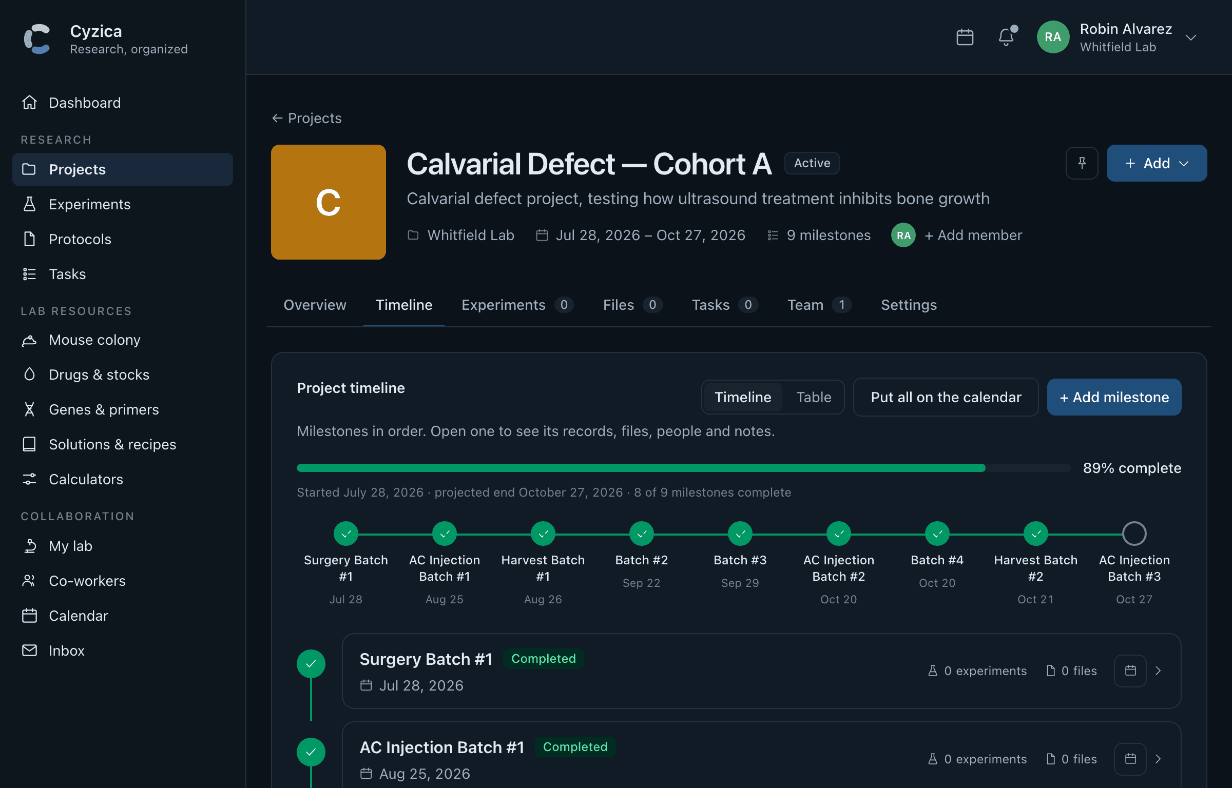 A project as a timeline of dated milestones, each with its own notes